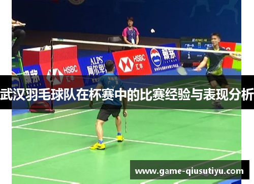 武汉羽毛球队在杯赛中的比赛经验与表现分析